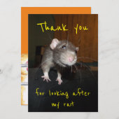 Merci pour s'occuper de ma carte rat (Devant / Derrière)