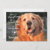 Merci Pour Tout Ce Pet Perdre Chien Photo Memorial (Devant)