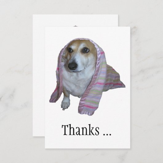 Merci Pour Toutes Les Bonnes Heures Corgi (Devant / Derrière)