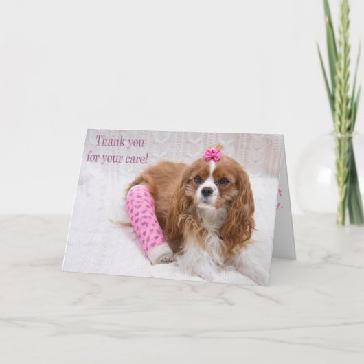 Merci pour vos soins King Charles Spaniel (Devant)