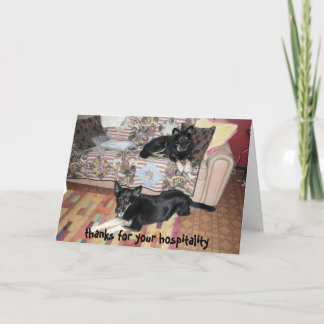 Merci pour votre carte d'accueil (chiens)