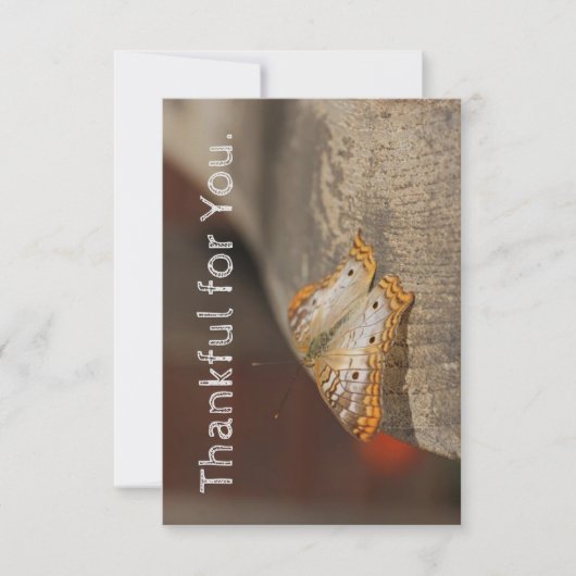 Merci pour votre carte Thanksgiving (Devant)