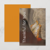 Merci pour votre carte Thanksgiving (Devant / Derrière)