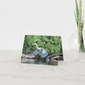 Merci Pour Votre Main D'Aide (Devant)