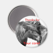 Merci pour votre soin ! Ponies grattant les magnet (Recto/Verso)