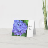 Merci pourpre d'hortensia (Devant)