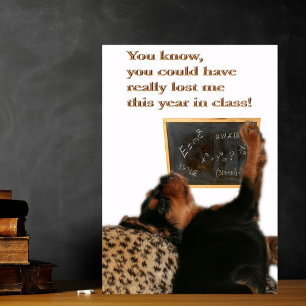 Merci Prof de Maths, Cavalier King Charles