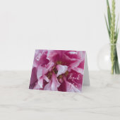 Merci rose de la tourbe (Devant)