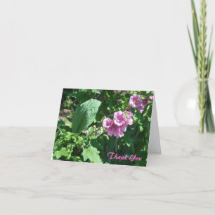 Merci rose de roses trémière