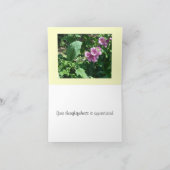 Merci rose de roses trémière (Intérieur)