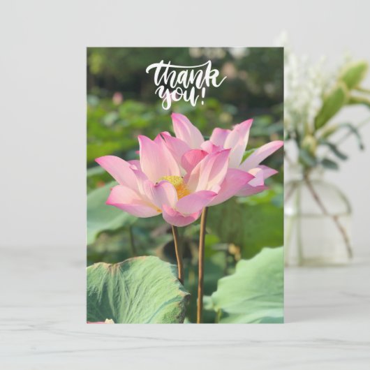 Merci rose Lotus (Debout devant)