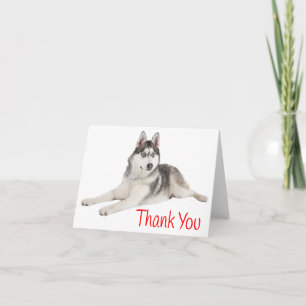 Merci rouge Chien Chien Rouge Sibérien Husky - Bla