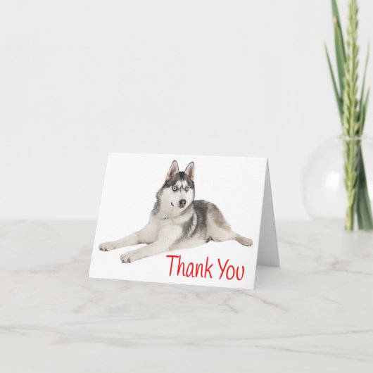 Merci rouge Chien Chien Rouge Sibérien Husky - Bla (Devant)