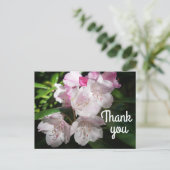 Merci Sakura Fleur de Cerisier #2 Carte Postale (Debout devant)