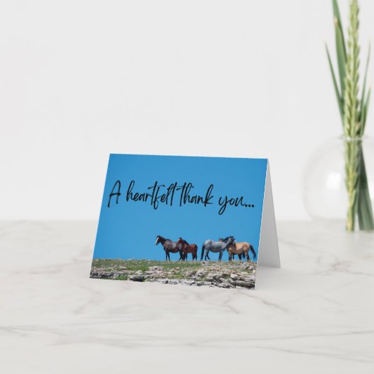 Merci sauvage à cheval (Devant)