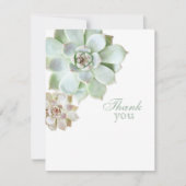 Merci succulent élégant de blanc d'obtention du (Devant)