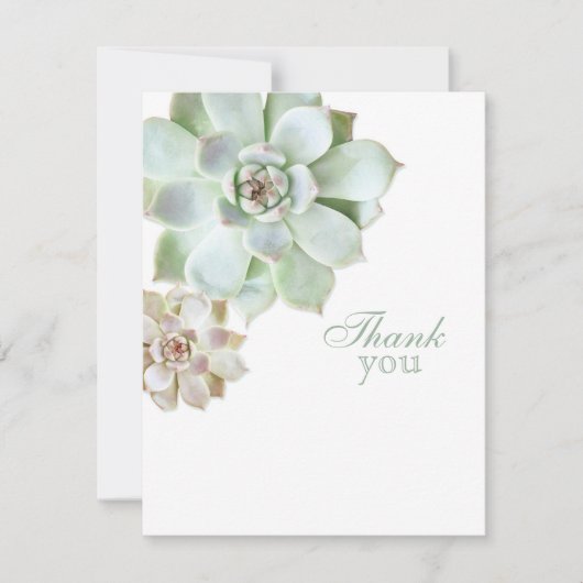 Merci succulent élégant de blanc d'obtention du (Devant)