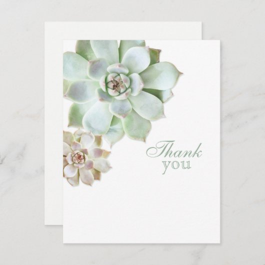 Merci succulent élégant de blanc d'obtention du (Devant / Derrière)