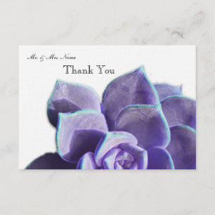 Merci succulent lilas