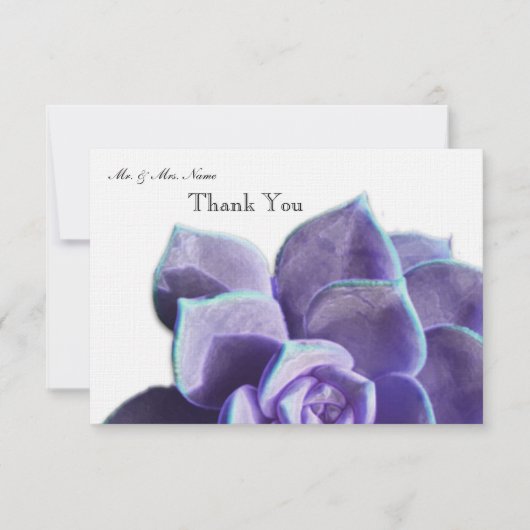 Merci succulent lilas (Devant)