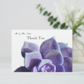 Merci succulent lilas (Debout devant)