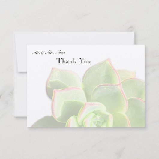 Merci succulent vert translucide (Devant)