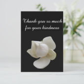 Merci tant pour votre gentillesse Magnolia (Debout devant)