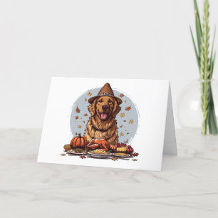 Merci Thanksgiving Golden Retriever Chien