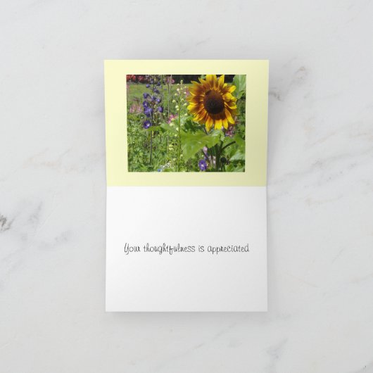 Merci tournesol (Intérieur)