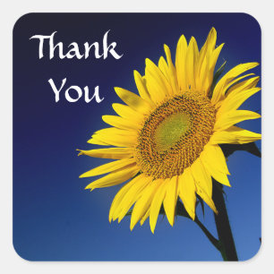 Merci Tournesol Jaune Sticker Étiquette