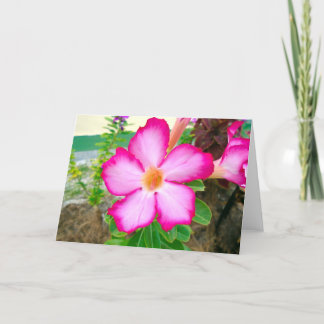 Merci tropical rose floral 12320 de fleur