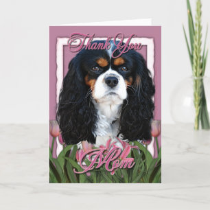 Merci - Tulipes roses - Cavalier - Tri-Color