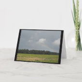 Merci un Marine 41 (Dos)