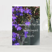 Merci Verbena (Dos)