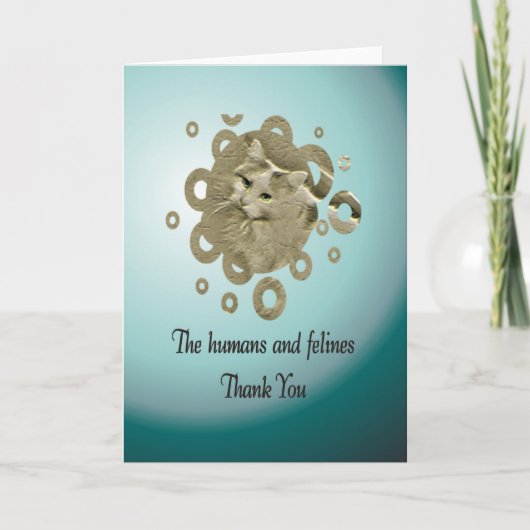 Merci volontaire, délivrance de chat (Devant)