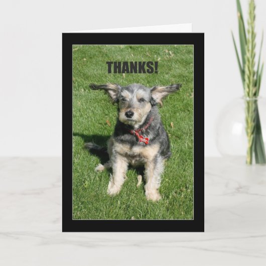 Merci ! Votre Gentillesse M'A Presque Éloigné ! (Devant)