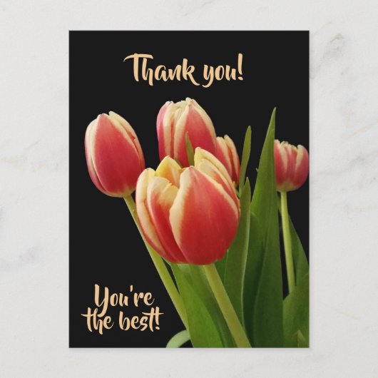 Merci, Vous êtes la meilleure carte postale avec d (Devant)