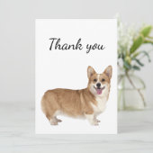 Merci Welsh Corgi Chien animal animal de compagnie (Debout devant)