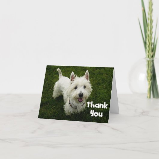 Merci West Highland Terrier Puppy Dodge Card (Devant)