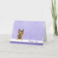 Merci Yorkshire Terrier sur En vichy