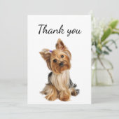 Merci Yorkshire Terrier Yorkie Chien Animal animal (Debout devant)