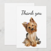 Merci Yorkshire Terrier Yorkie Chien Animal animal (Devant / Derrière)