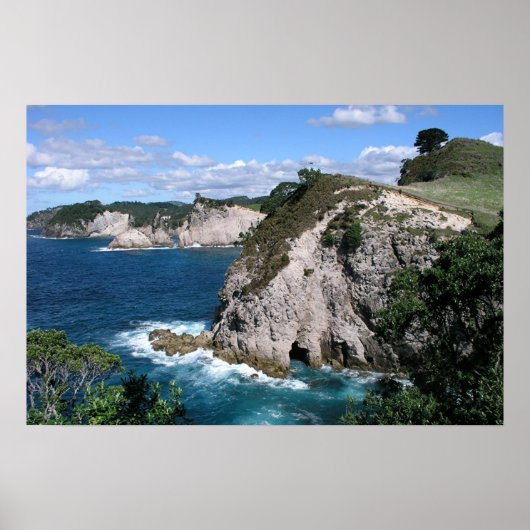 Mercury Bay Poster (Voorkant)