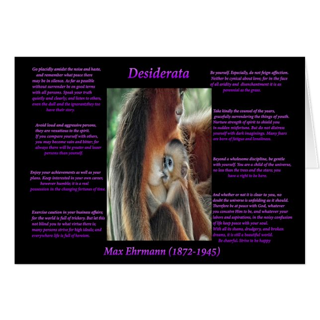 Mère Amour (Devant horizontal)