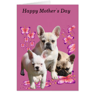 Mère bouledogue français Fête des mères French Bul