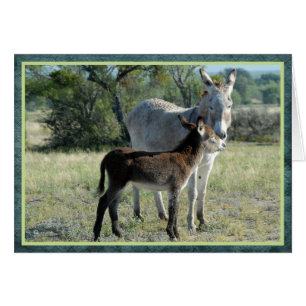 Mère burre et bébé