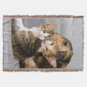 Mère chat aime chaton jeter la couverture (Devant)