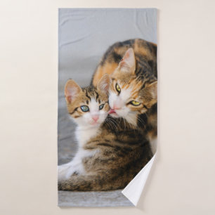 Mère Chat aime les mignons Bébé Kitten Animal A