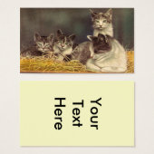 Mère Chat et chatons (Devant & derrière)