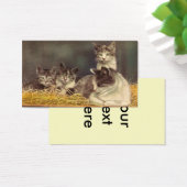 Mère Chat et chatons (Bureau)